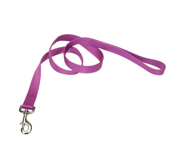 00906 SINGLE-PLY TRAINING DOG LEASH NYLON 1 IN X 6 FT ORCHID