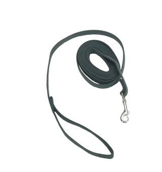 TRAIN RIGHT® 00510 DOG LEASH COTTON WEB 5/8 IN X 10 FT GREEN