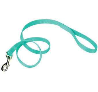 00906 SINGLE-PLY TRAINING DOG LEASH NYLON 1 IN X 6 FT TEAL
