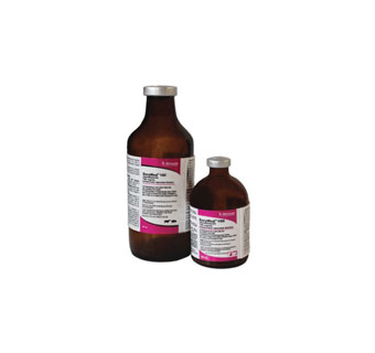 ENROMED™ 100 ENROFLOXACIN INJECTABLE SOLUTION 100 MG/ML 250 ML (RX)