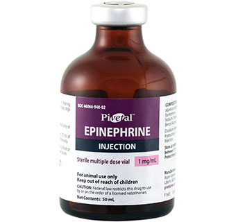 PIVETAL® EPINEPHRINE INJECTION 1 MG/ML 50 ML (RX)