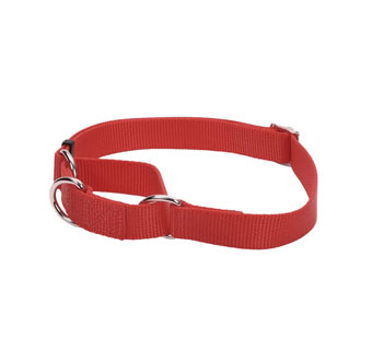 NO! SLIP® 06607 MARTINGALE DOG COLLAR NYLON 14 - 20 IN X 3/4 IN RED