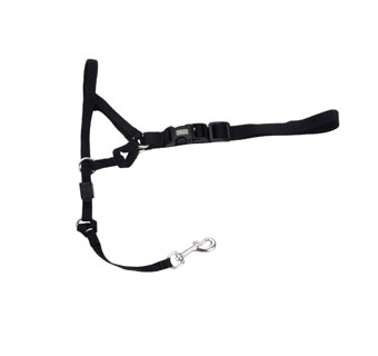 6100 POLYESTER WALK 'N TRAIN DOG HEAD HALTER BLACK 2XL