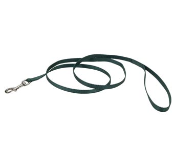 00306 SINGLE-PLY TRAINING DOG LEASH NYLON 3/8 IN X 6 FT HUNTER GREEN