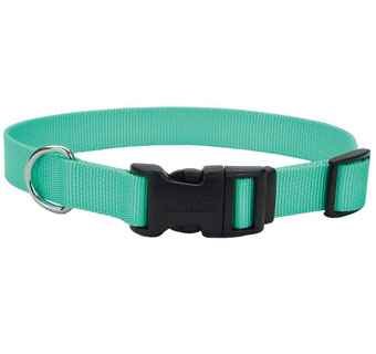 06301 ADJ TUFF DOG COLLAR WITH BUCKLE NYLON 8 - 12 IN X 3/8 IN TEAL