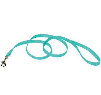 00406 SINGLE-PLY TRAINING DOG LEASH NYLON 5/8 IN X 6 FT TEAL