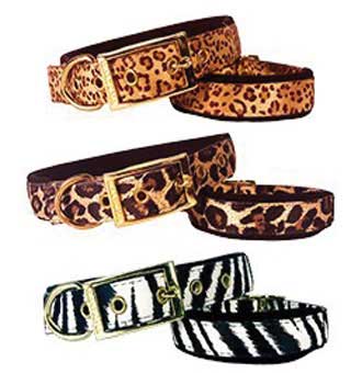 554 SINGLE LAYER WILD DOG COLLAR NYLON 12 IN X 3/4 IN CHEETAH