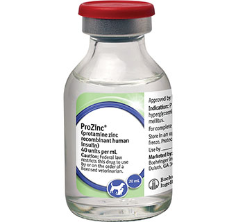 PROZINC® INSULIN 40 IU/ML 20 ML 1/PKG (RX)