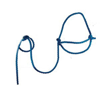 208 POLY ADJUSTABLE COW HOLDING ROPE HALTER WITH LEAD 5/8 IN BLUE