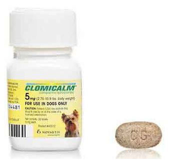 CLOMICALM® (CLOMIPRAMINE HYDROCHLORIDE) TABLETS FOR DOGS 5 MG 30/BOTTLE (RX)