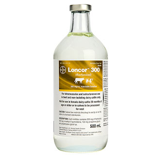 LONCOR® 300 (FLORFENICOL) INJECTABLE SOLUTION 300 MG/ML 500 ML 1/PKG (RX)