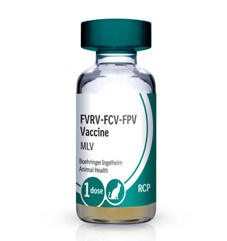 PUREVAX™ FELINE 3 (RCP) 25 X 1 DOSE 0.5 ML (AGENCY)