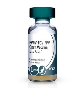 PUREVAX™ FELINE 4 (RCCP) 25 X 1 DOSE 0.5 ML (AGENCY)