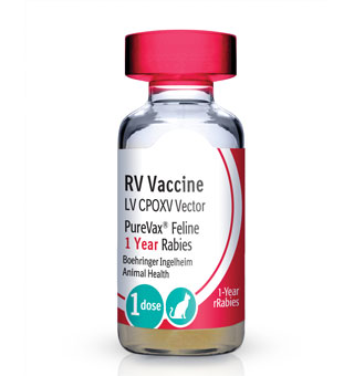 PUREVAX™ FELINE RABIES (1 YEAR) 25 X 1 DOSE 0.5 ML (AGENCY)