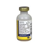 ULTRACHOICE® 7 10 DOSES