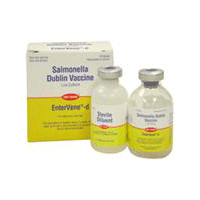 ENTERVENE®-D (SALMONELLA DUBLIN) 50 DOSE