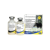 PREGGUARD® GOLD FP™ 10 10 DOSES