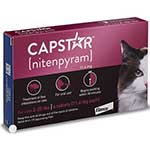 Oral Flea & Tick Control